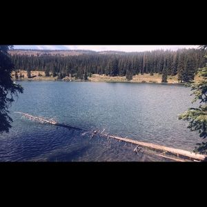 Meet your Posher, Angeles